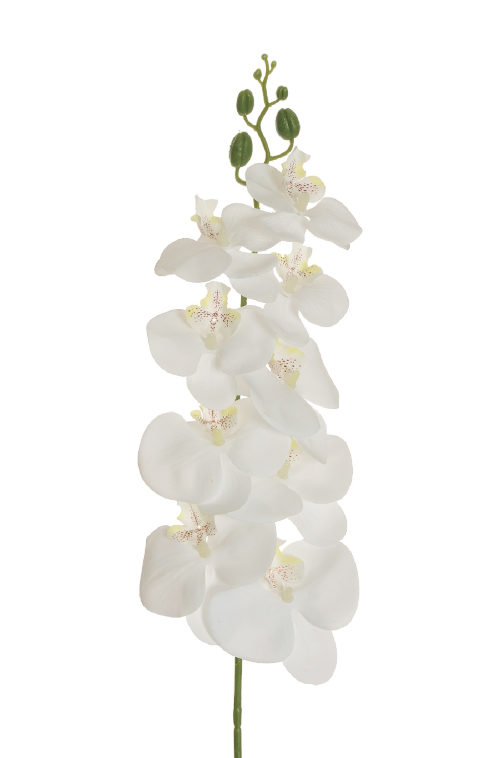 PHALAENOPSIS REAL TOUCH 9FIORI 97CM. BIANCO