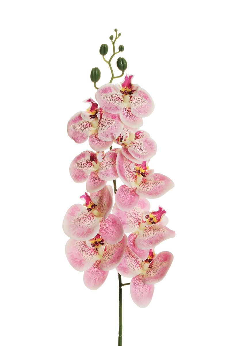 PHALAENOPSIS REAL TOUCH 9FIORI 97CM. ROSA