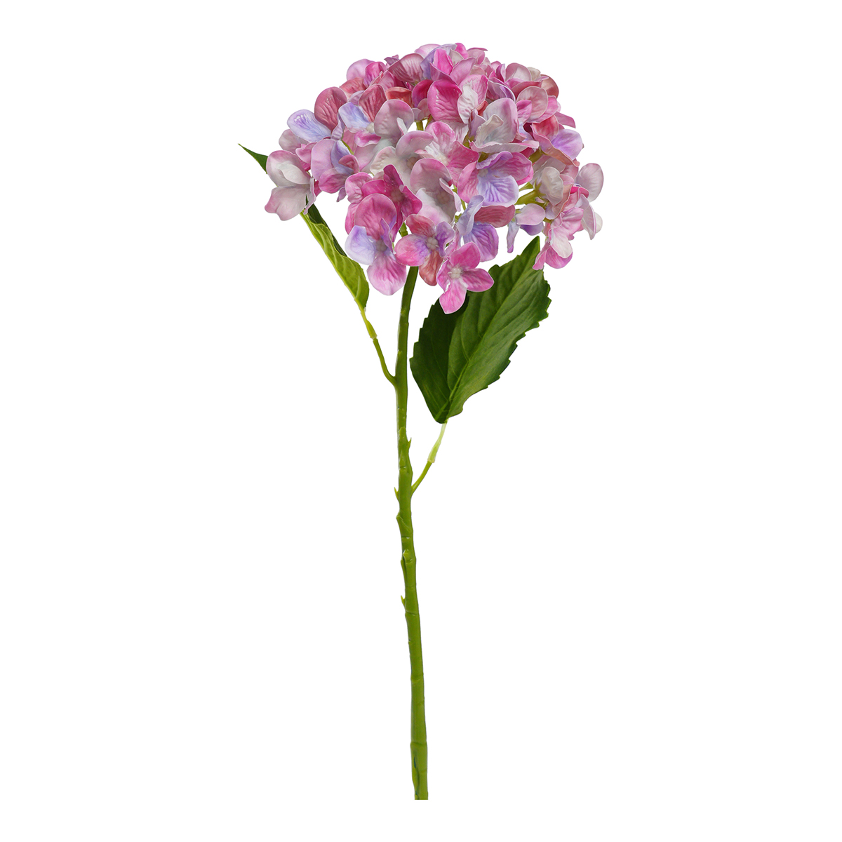 HYDRANGEA SINGOLA D15CM. 55CM. FUCHSIA
