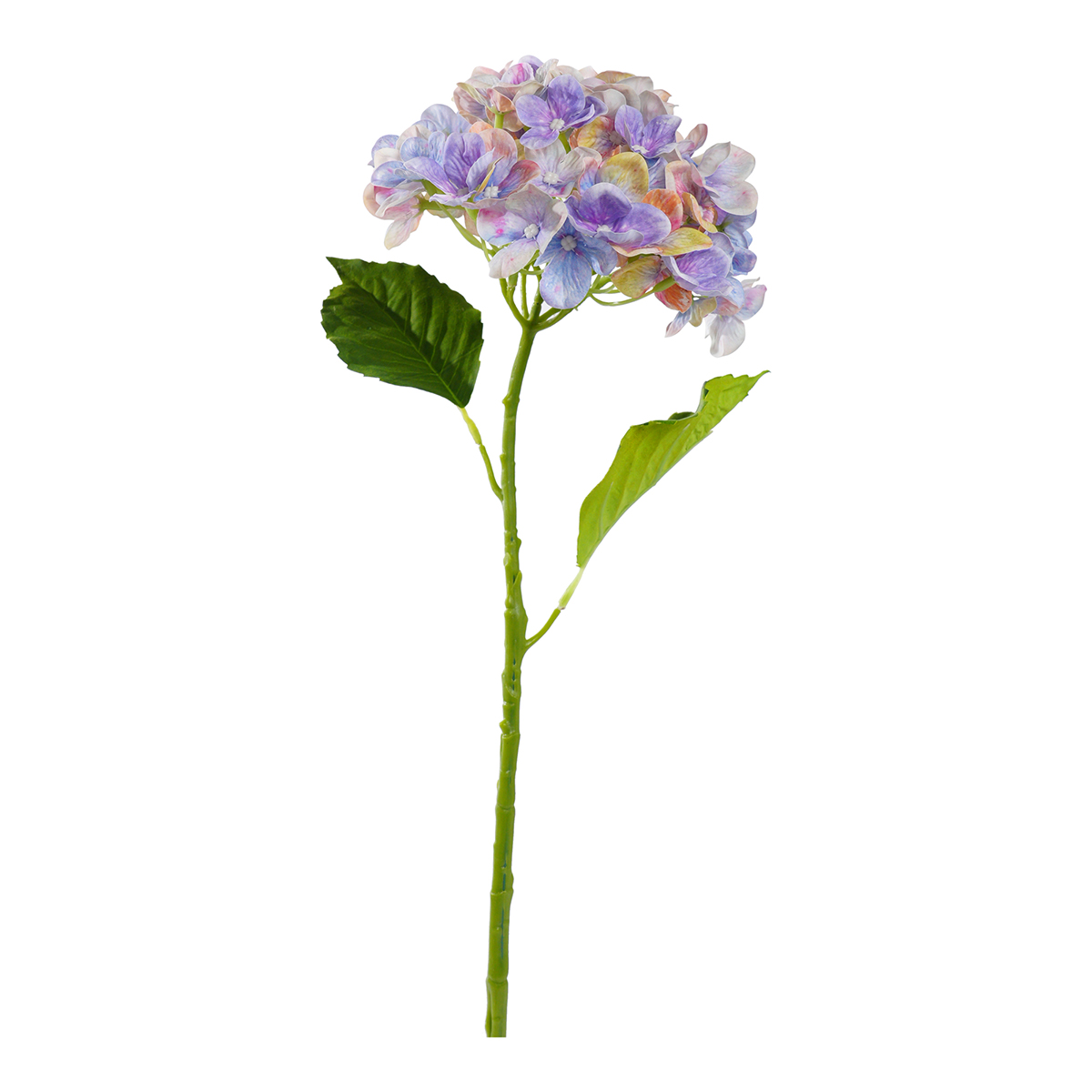 HYDRANGEA SINGOLA D15CM. 55CM. LAVANDA