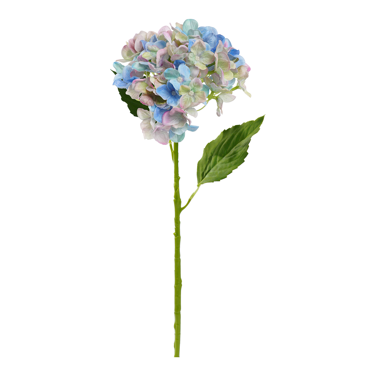 HYDRANGEA SINGOLA D15CM. 55CM. CELESTE