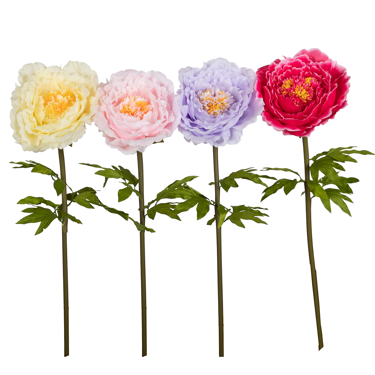 PEONIA GIGANTE D48 H130CM. GIALLO CH.