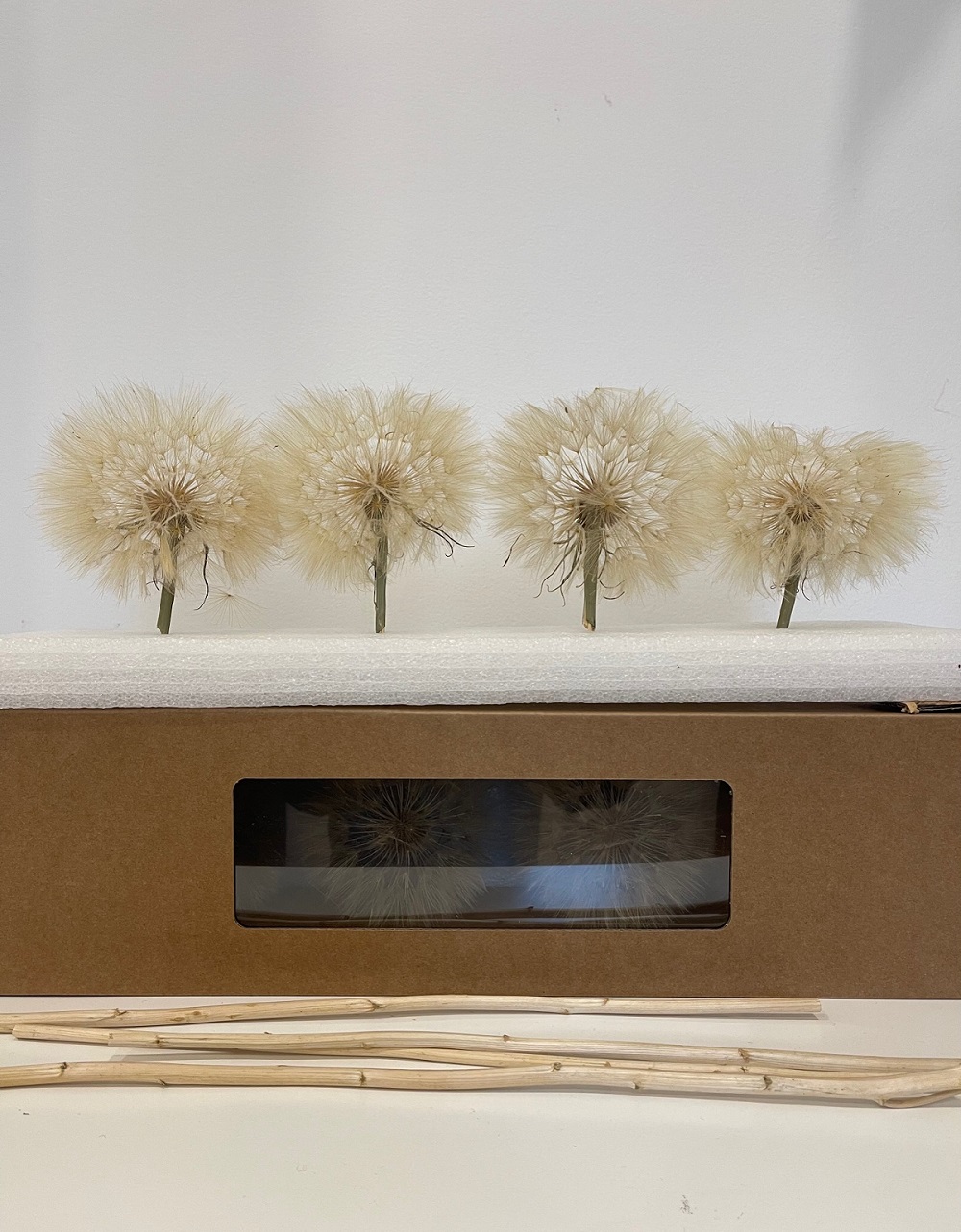 SOFFIONE DANDELION XXXL DRIED C/STICK 4PZ.