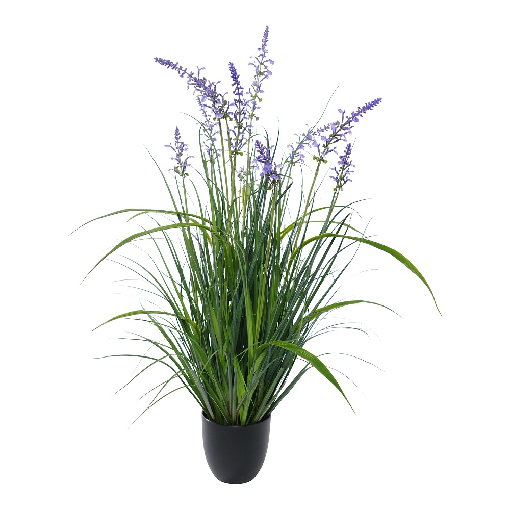 PIANTA LAVANDA 90CM
