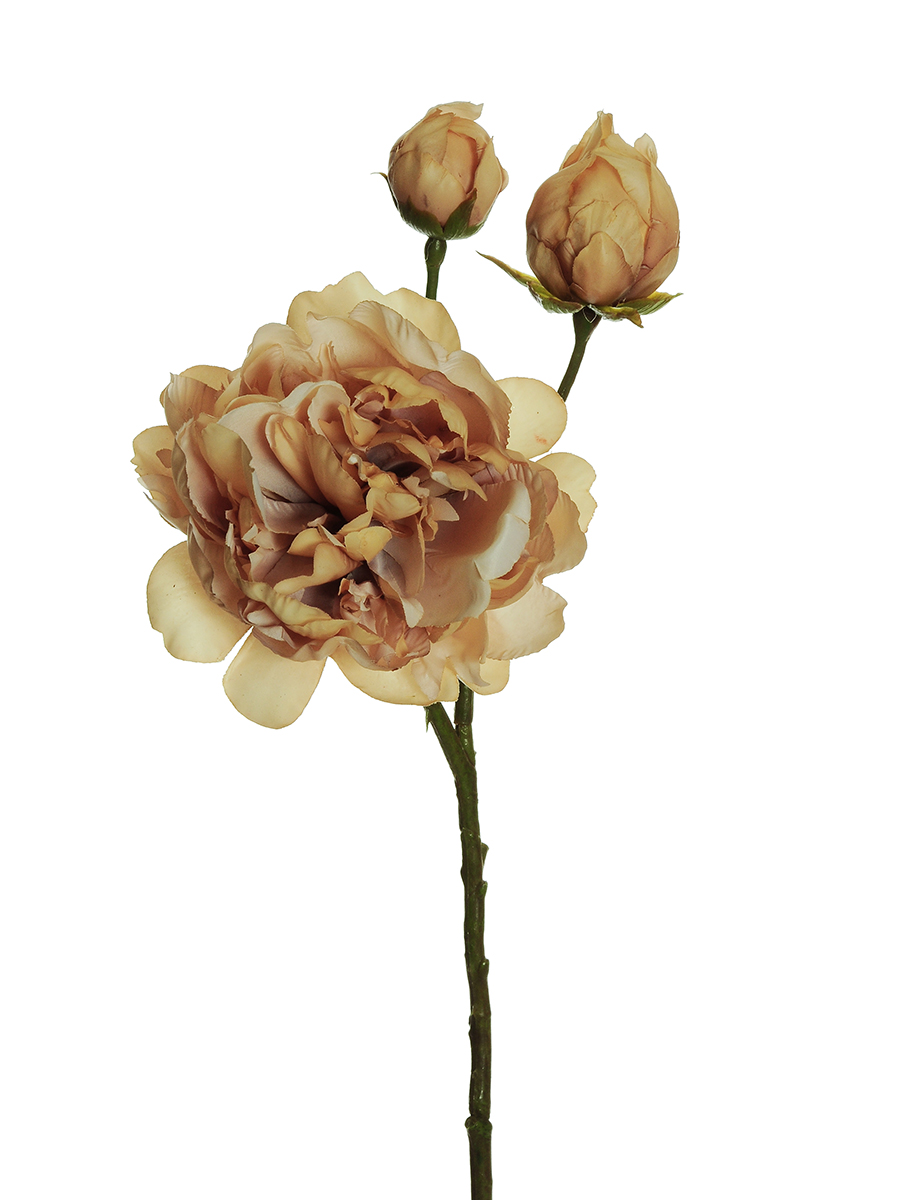 PEONY SPRAY C/3FIORI 60CM. ECRU