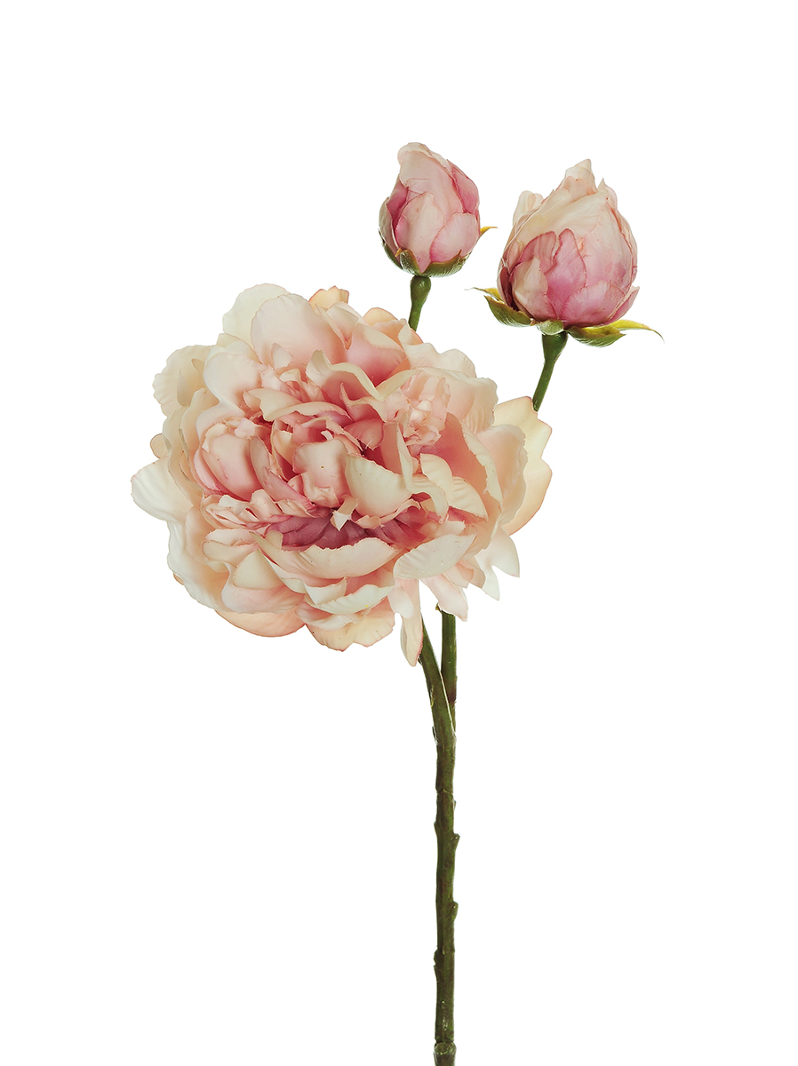 PEONY SPRAY C/3FIORI 60CM. CR/PINK