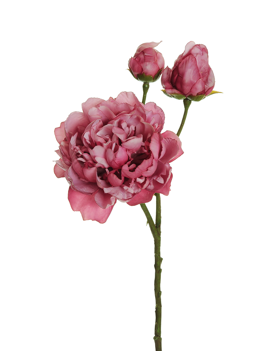 PEONY SPRAY C/3FIORI 60CM. MAUVE