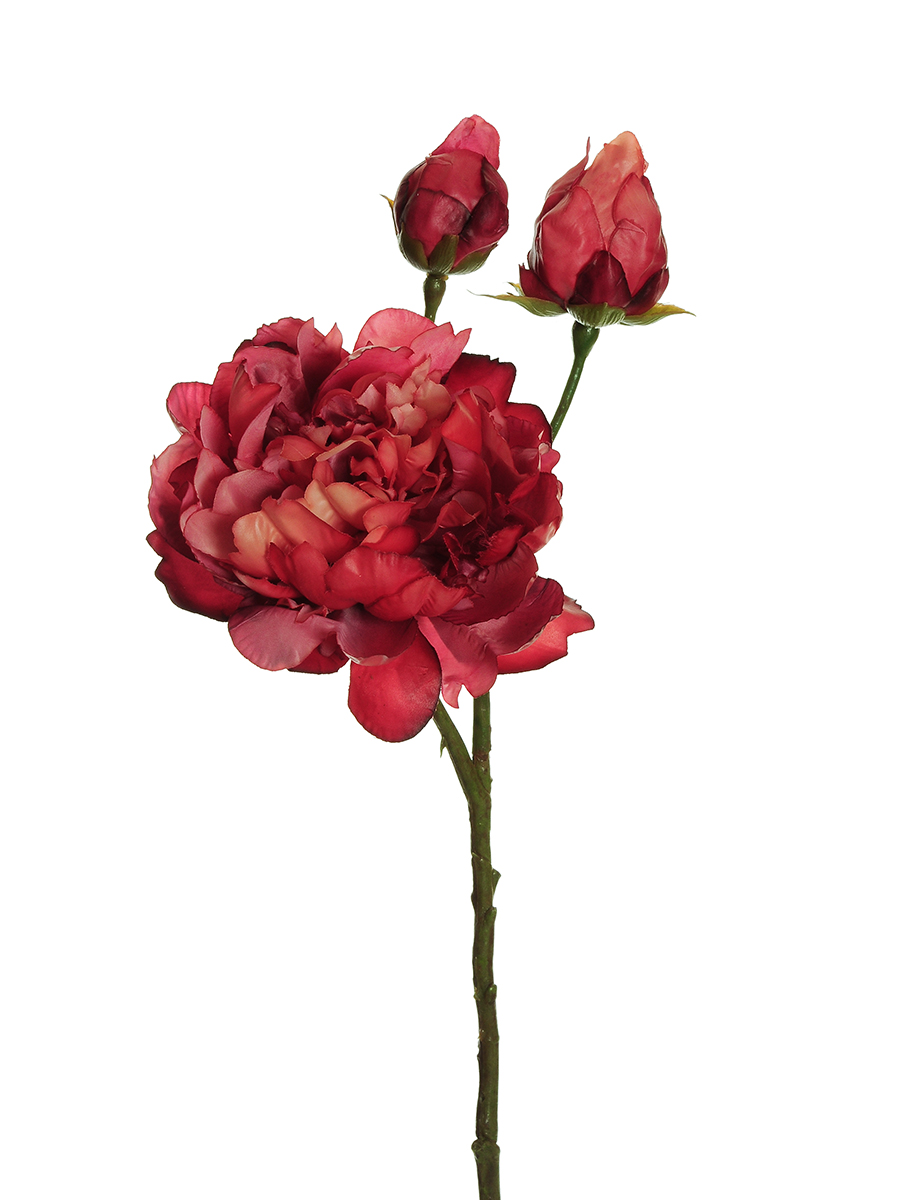 PEONY SPRAY C/3FIORI 60CM. DK/FCH