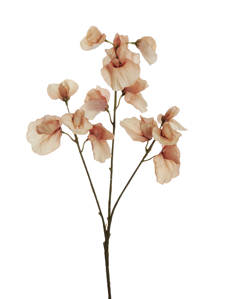 SWEET PEA SPRAY X3 REAL TOUCH 67CM. ECRU