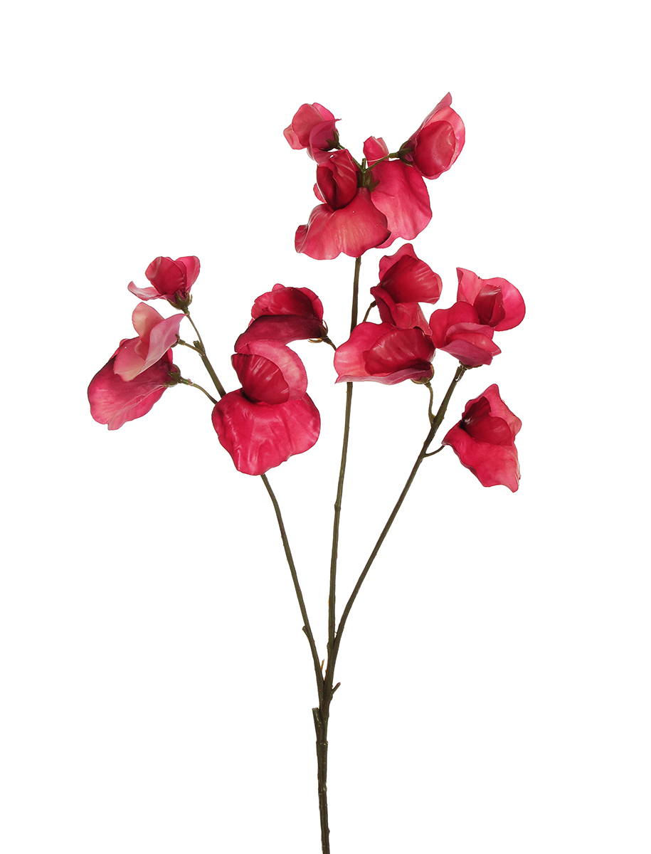 SWEET PEA SPRAY X3 REAL TOUCH 67CM. DK/FCH