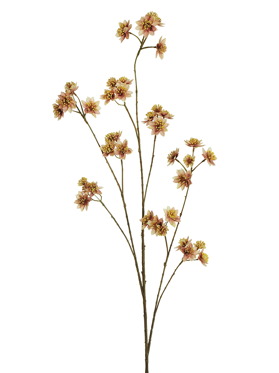 RAMO ASTRANTIA 120CM. ANT.PINK