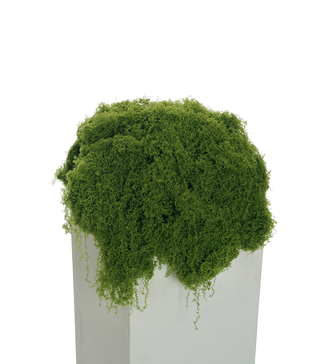 MUSCHIO DI STOFFA MORBIDA 300GR. VERDE