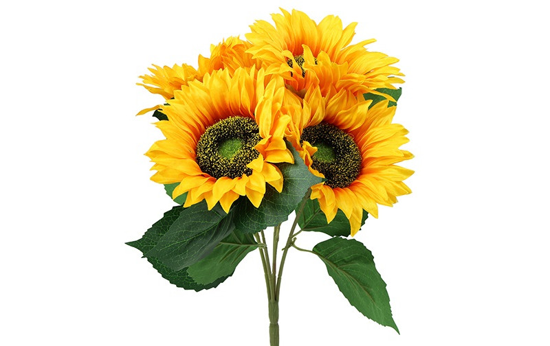 BUSH GIRASOLE X5 D12 H41CM. GIALLO