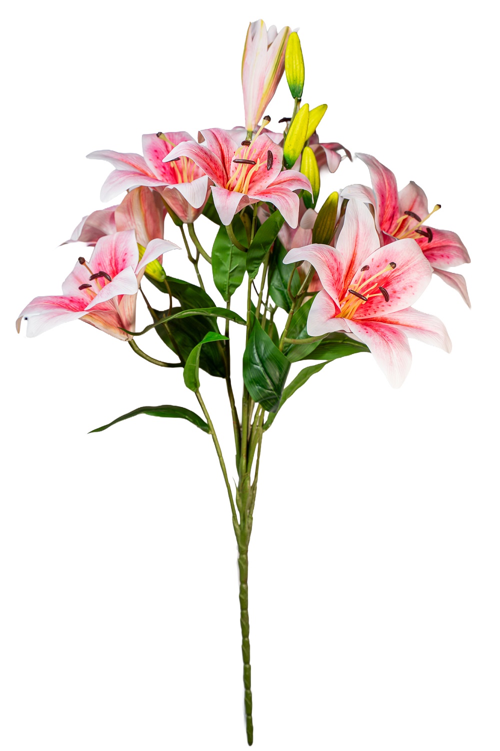 LILIUM BUSH STARGATE 8FIORI 10BOCC. 90CM. ROSA