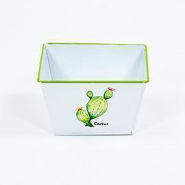 VASCH.LATTA CACTUS H9 3PZ 15X15CM.  --NETTO-------
