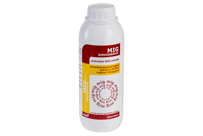 MIG PROMOTORE CRESCITA 250GR.