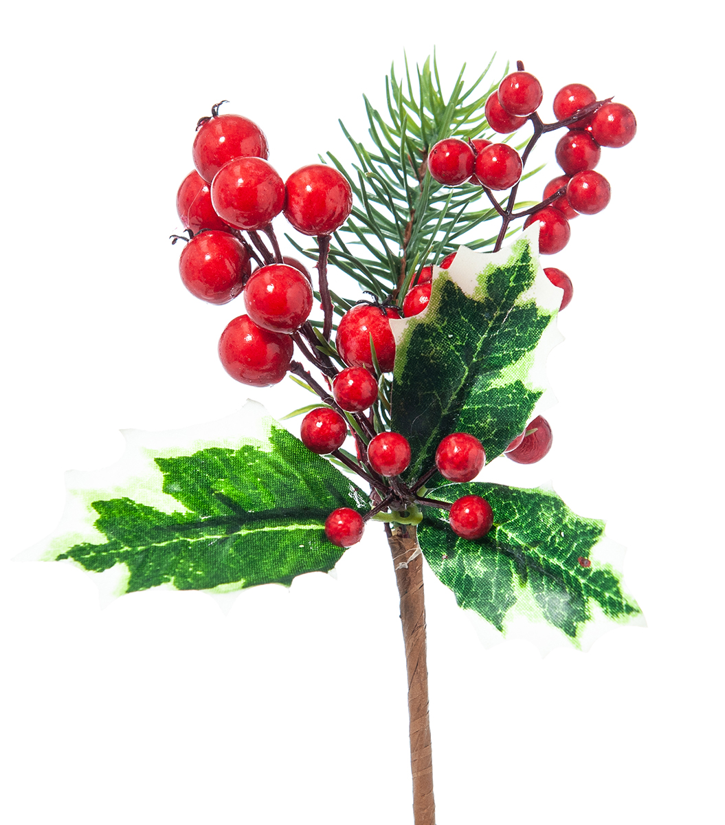 PICK PINO BACCHE AGRIFOGLIO 24PZ. 18CM.
