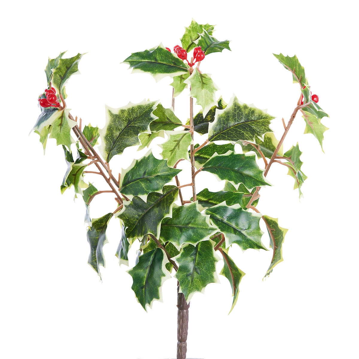 BUSH AGRIFOGLIO 30CM. 2PEZZI