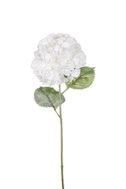 HYDRANGEA INNEVATA 70CM. 2PEZZI BIANCO