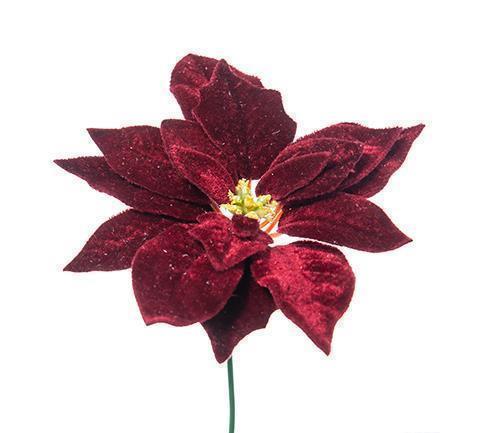 PICK POINSETTIA DELUXE VELVET 12PZ. 19CM. BORDO'