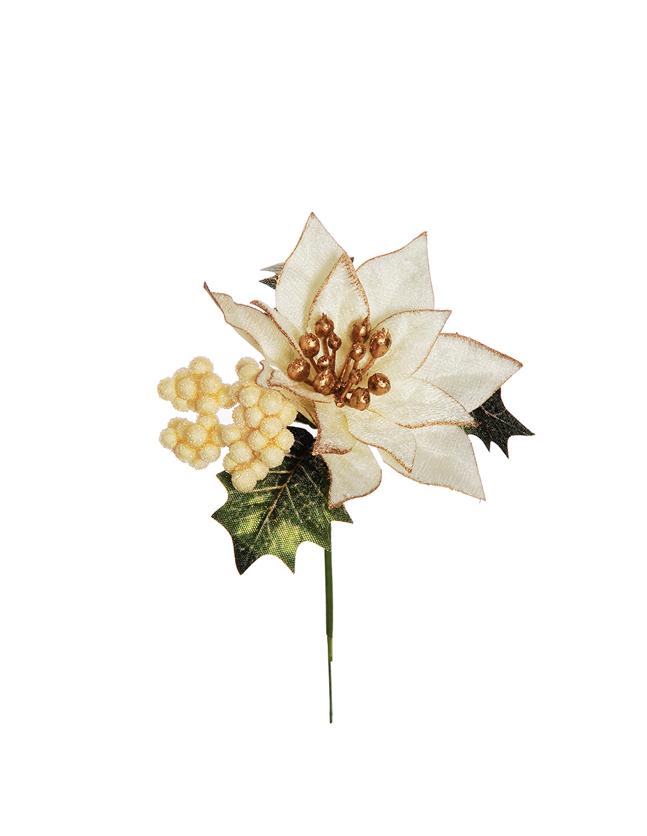 POINSETTIA PICK C/BACCHE 16CM. 12PZ. CREMA