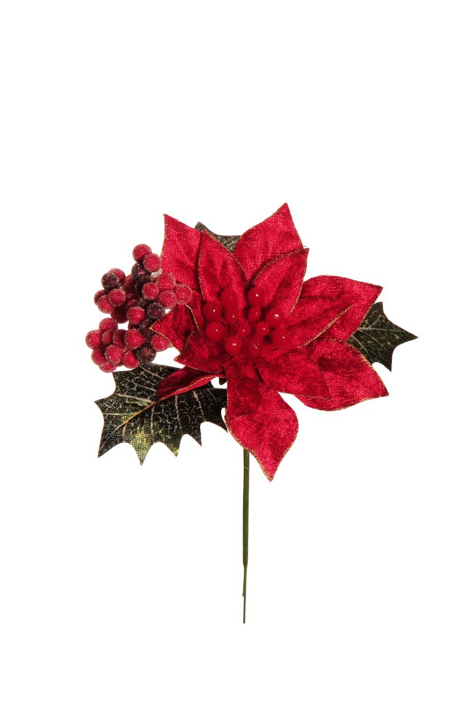 POINSETTIA PICK C/BACCHE 16CM. 12PZ. ROSSO