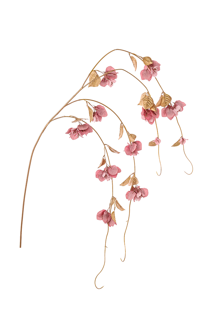 TRALCIO BOUGANVILLEA 150CM. ROSA ANT.