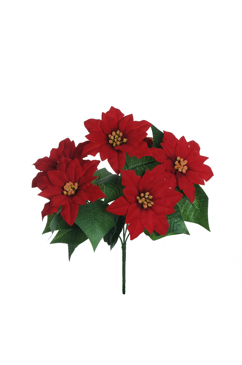 BUSH MINI VELVET POINSETTIA X6 37CM. ROSSO