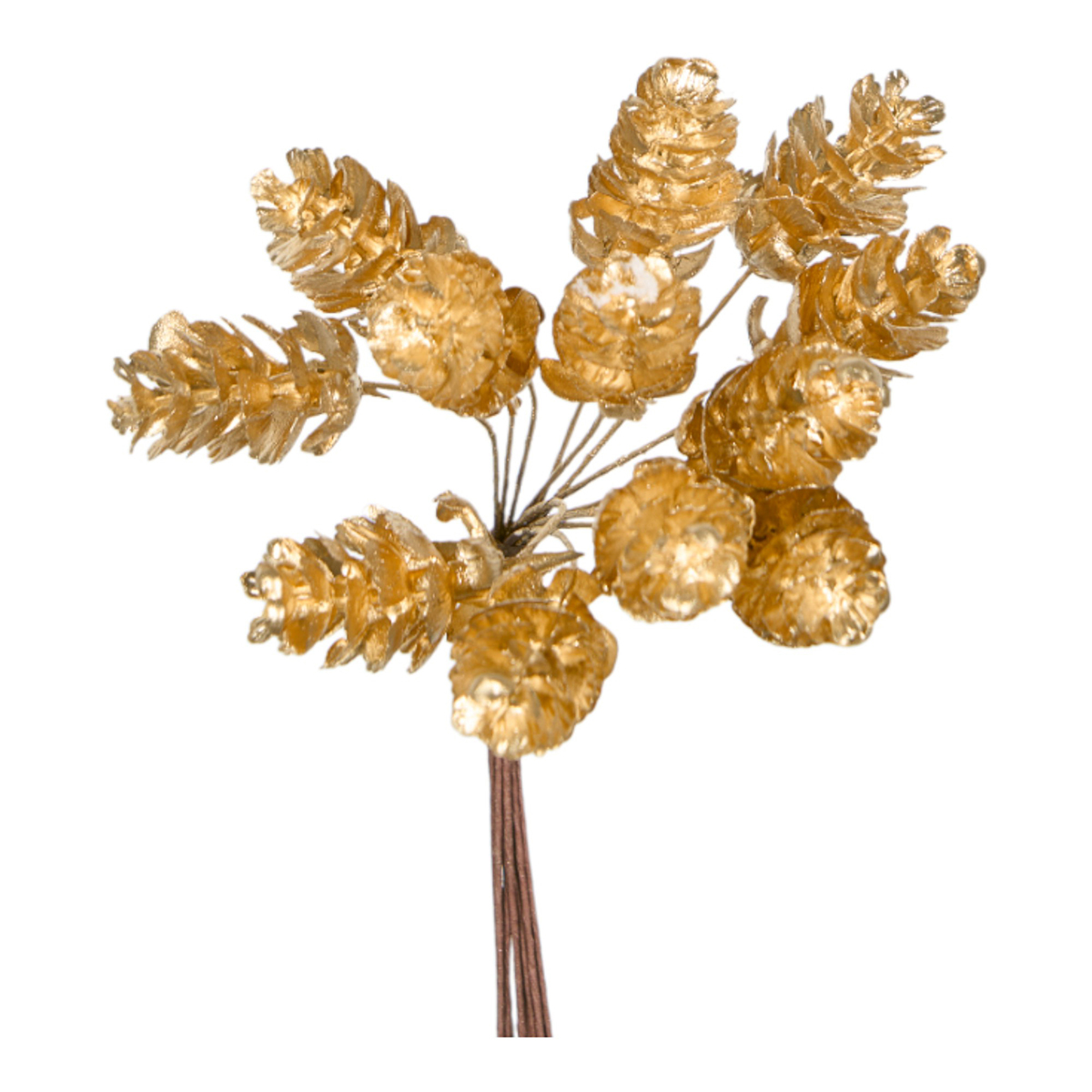 BUNCH DA 12 PIGNETTE 13CM. ORO