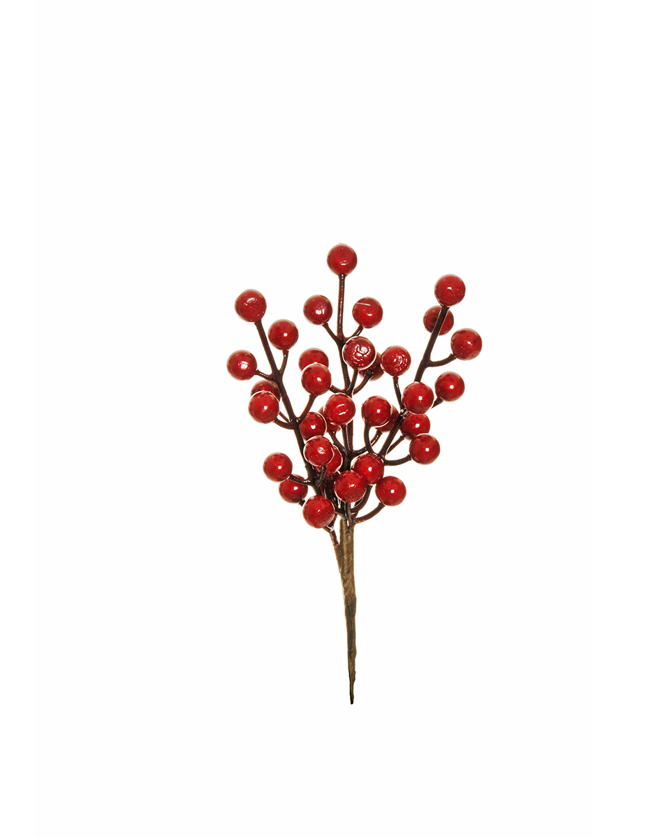 PICK BACCHE D1,4 L.20CM. 6PZ. BORDEAUX