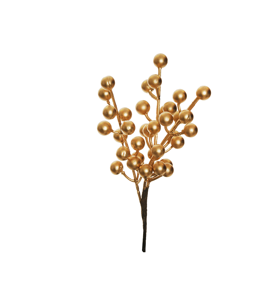 PICK BACCHE D1,4 L.20CM. 6PZ. ORO