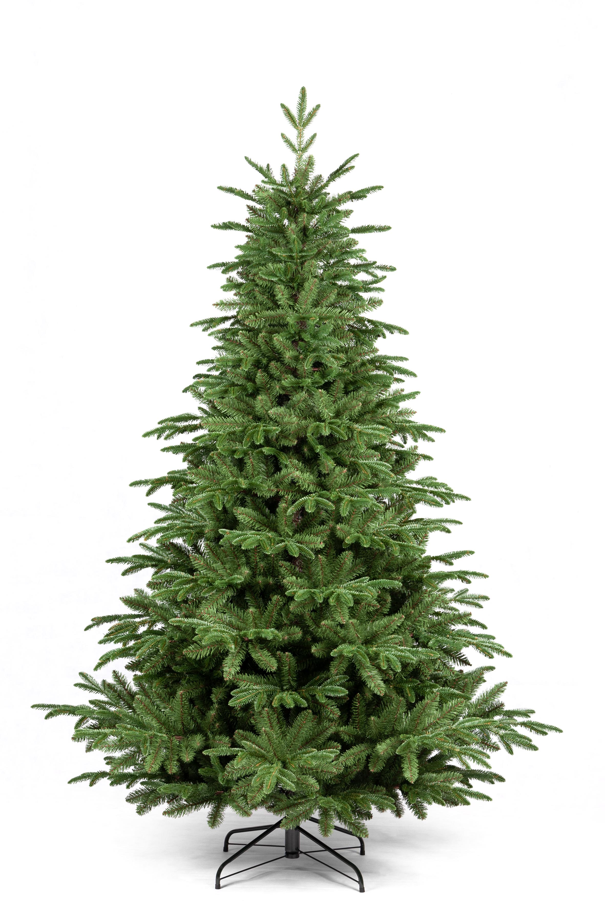 ALBERO BALSAM 1806TIPS H240 D160CM.