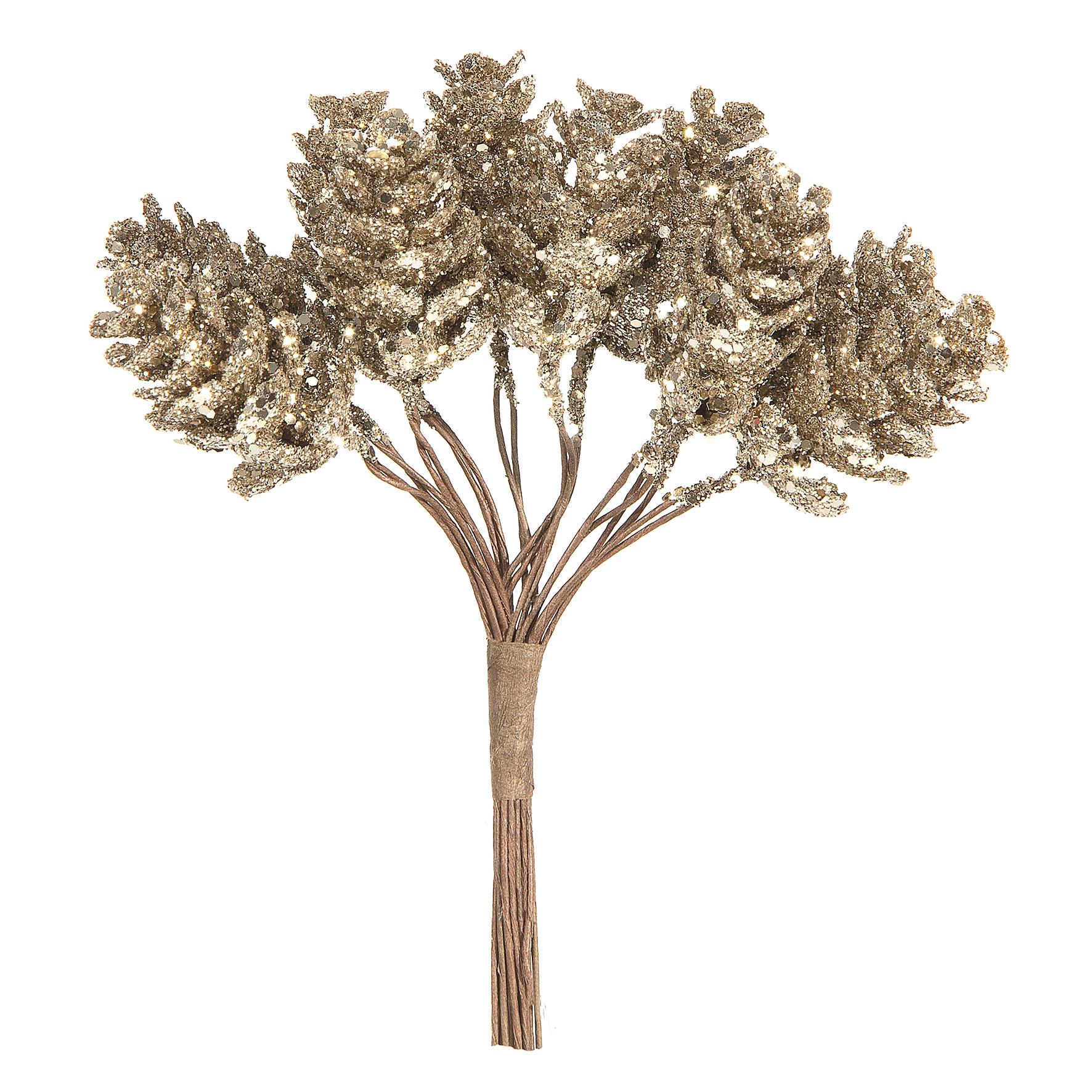 MAZZETTO DI PIGNE 12PZ. H12CM. CHAMP.
