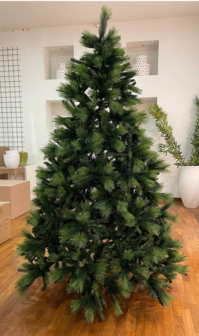 ALBERO PENNSYLVANIA H240CM. VERDE