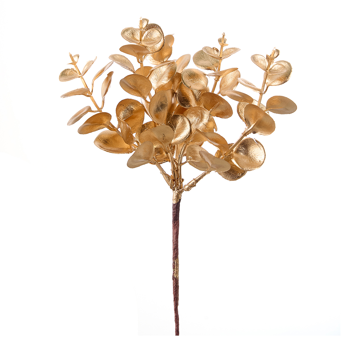 PICK EUCALYPTO 20CM. 6PZ. ORO