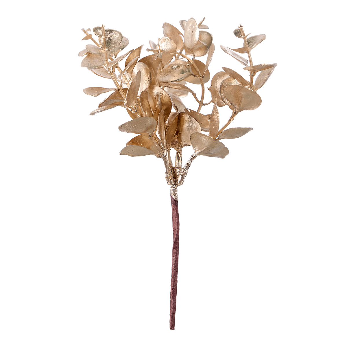 PICK EUCALYPTO 20CM. 6PZ. PLATINO