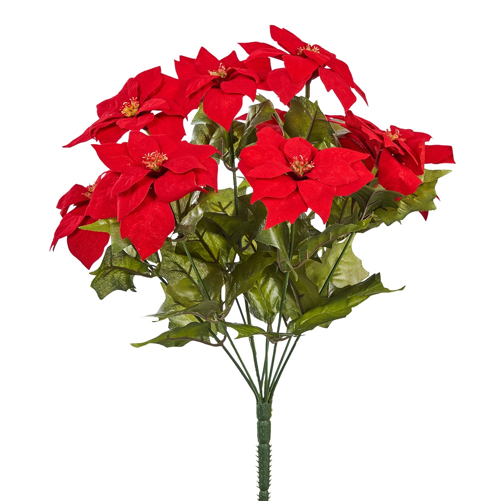 BUSH POINSETTIA X9 40CM. ROSSO