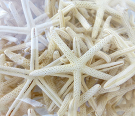 STELLE BIANCHE DITO 7-8CM. 20PZ. BIANCO
