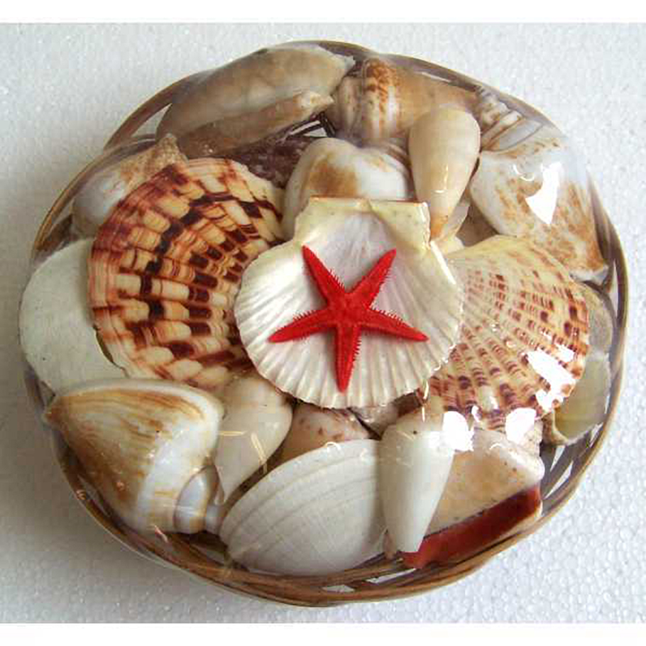 CONCHIGLIE IN CESTO MED. D20CM.