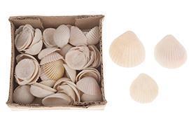CONCHIGLIE 200GR. IN BOX