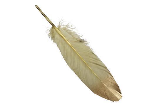 PIUME 24PZ. 18-20CM. GREEN GOLD
