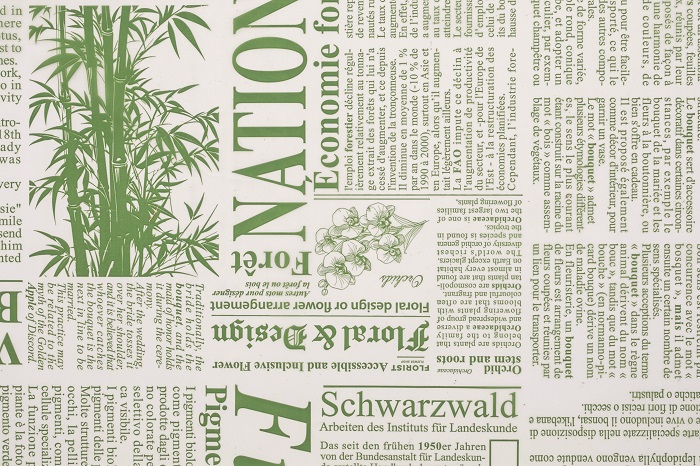 BOB.MATT. NEWSPAPER 1X25MT. 30MY VS