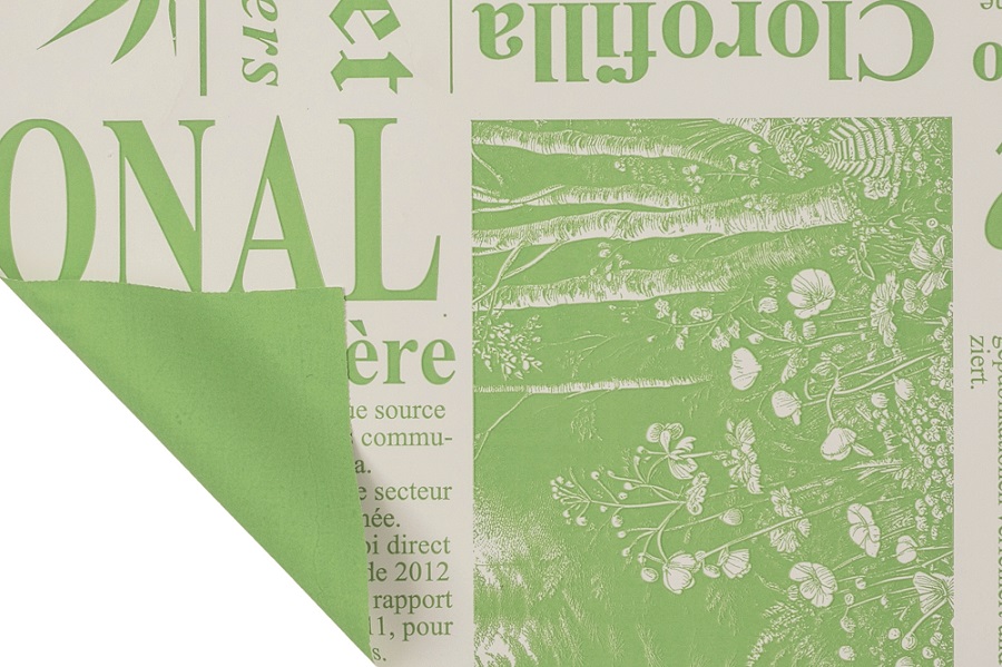 BOB.PERL. NEWSPAPER ELITE 1X20MT. 50MY VS